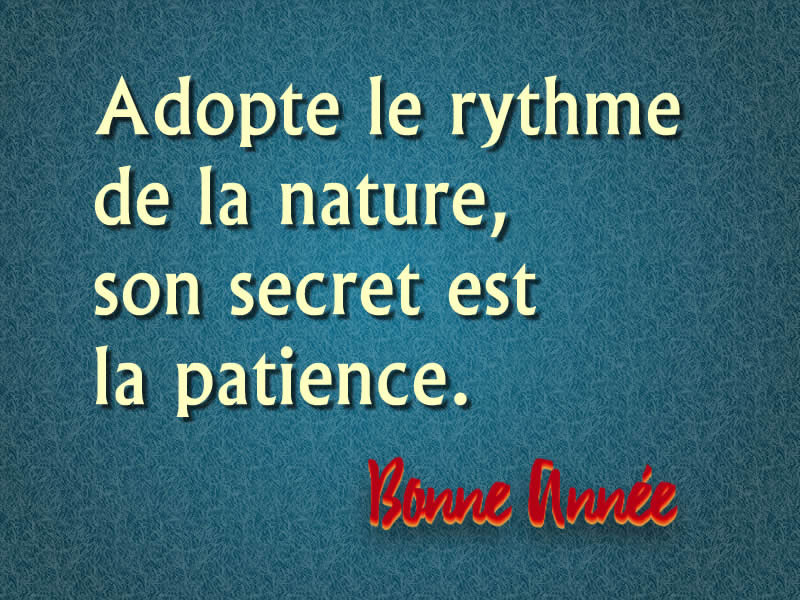 Citation écologique 2026 : Adopte le rythme de la nature, son secret est la patience