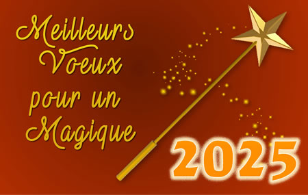 Carte de vœux Meilleurs vœux pour une nouvelle année  magique