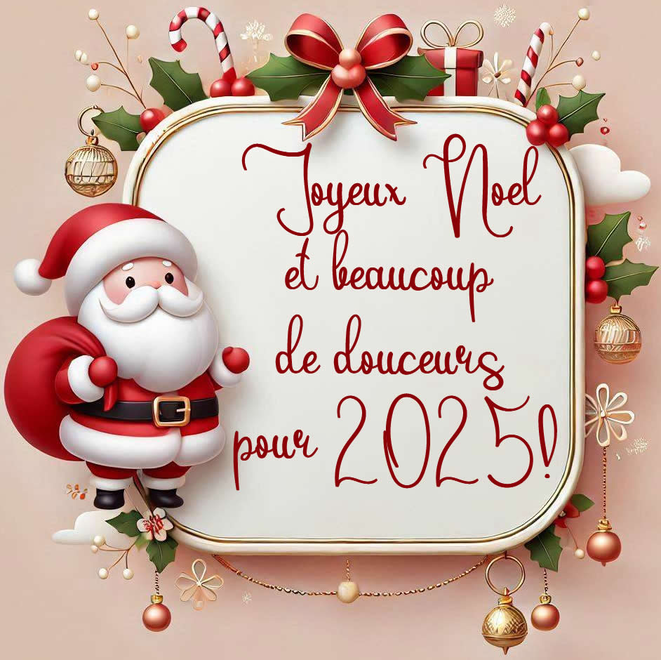 Image  avec Père Noël et texte : Joyeux Noël et beaucoup de douceurs pour 2025!