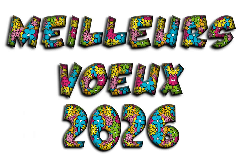 image meilleurs voeux 2026 fleurs