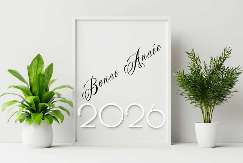 Cartes de voeux 2026 avec des plantes en pots
