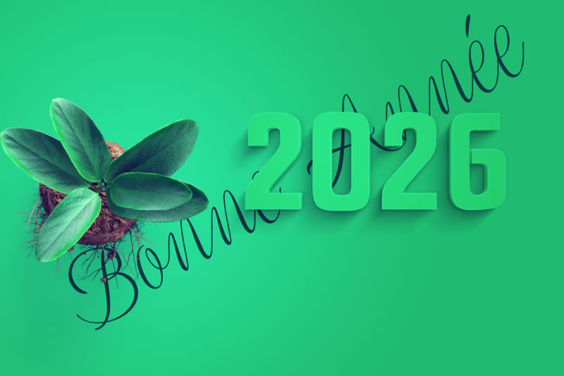 Image bonne année 2027 avec des plantes vertes et de la terre