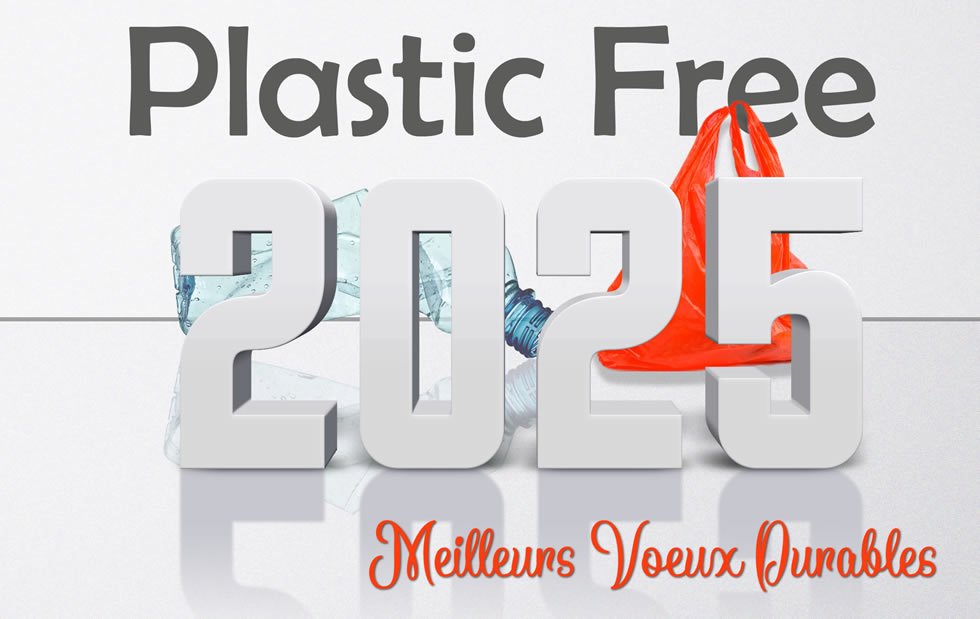 image plastic free en 2023