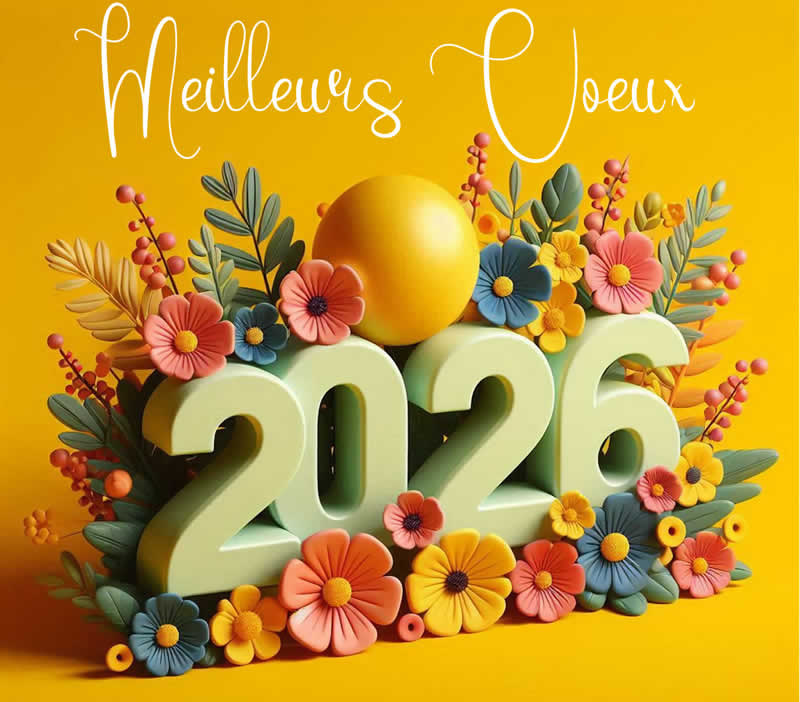 Image 2026 avec le soleil et la voiture électrique