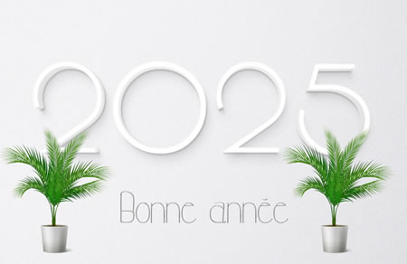 image avec texte bonne année 2025 avec deux plantes en pot