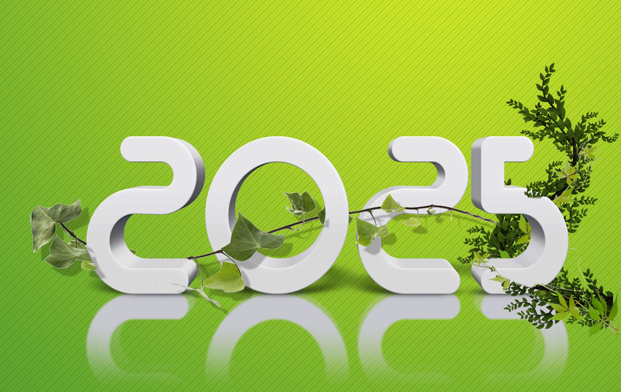 Meilleurs Voeux 2025 vert et orange