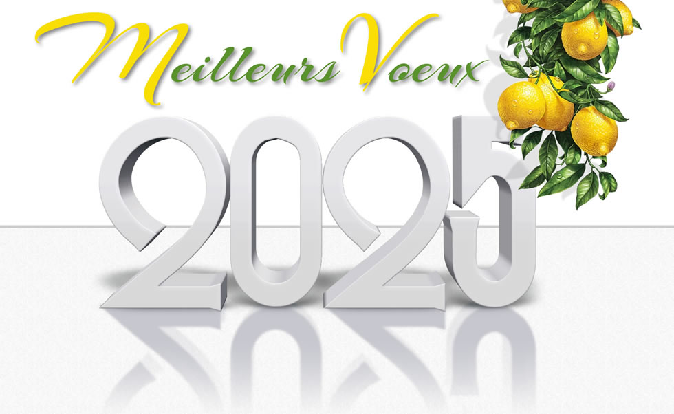 Image meilleurs vœux 2025 avec citronnier