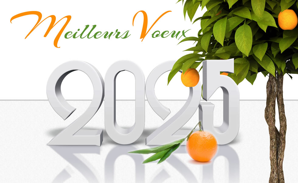 Meilleurs Voeux 2025 avec une plante orange