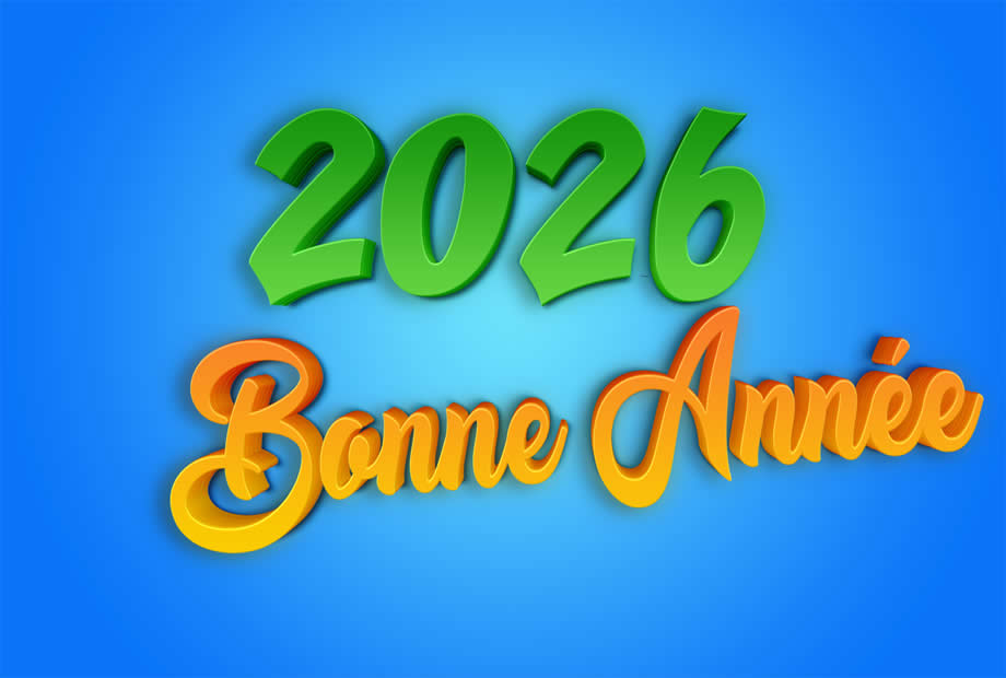 Meilleurs Voeux 2026 vert et orange