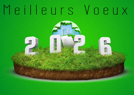 Toastons la nouvelle année avec joie