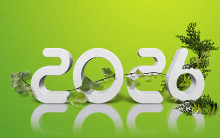 Pour les voeux de bonne année, belle et écologique