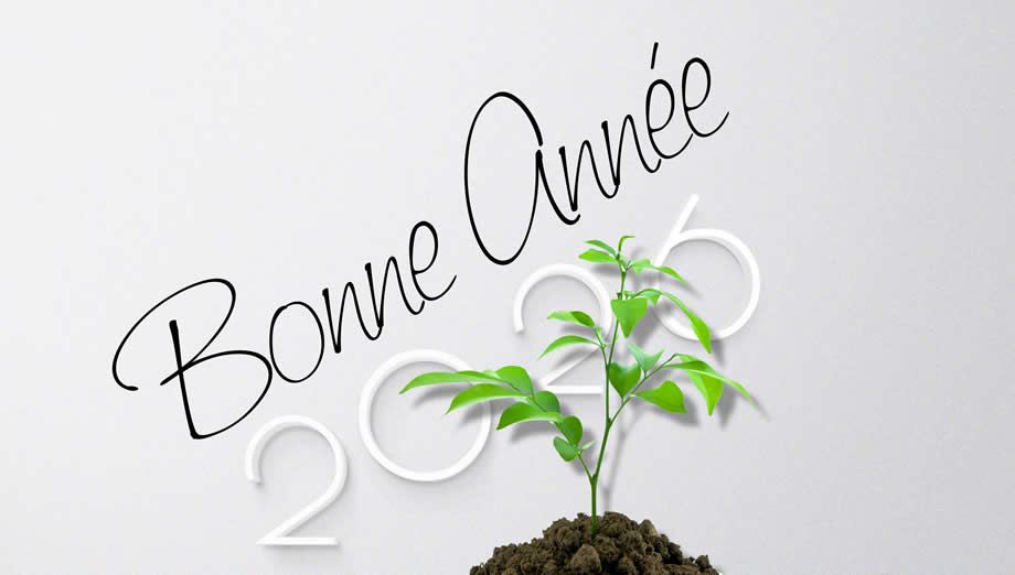 Image bonne année 2026 avec des plantes vertes