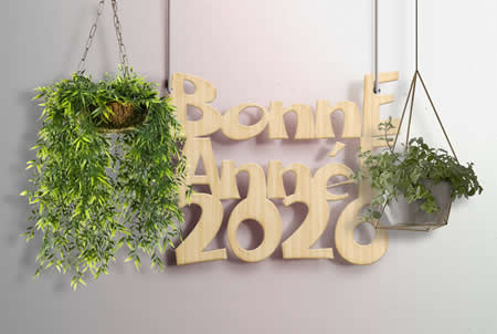 Image Bonne année 2026 et plantes suspendues