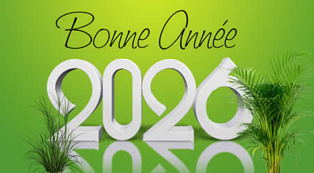 Image avec un fond vert, avec le texte 3D 2026 réfléchi