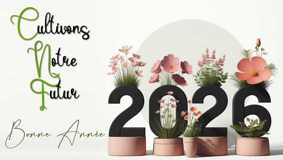 Meilleurs Voeux 2026 avec une plante orange