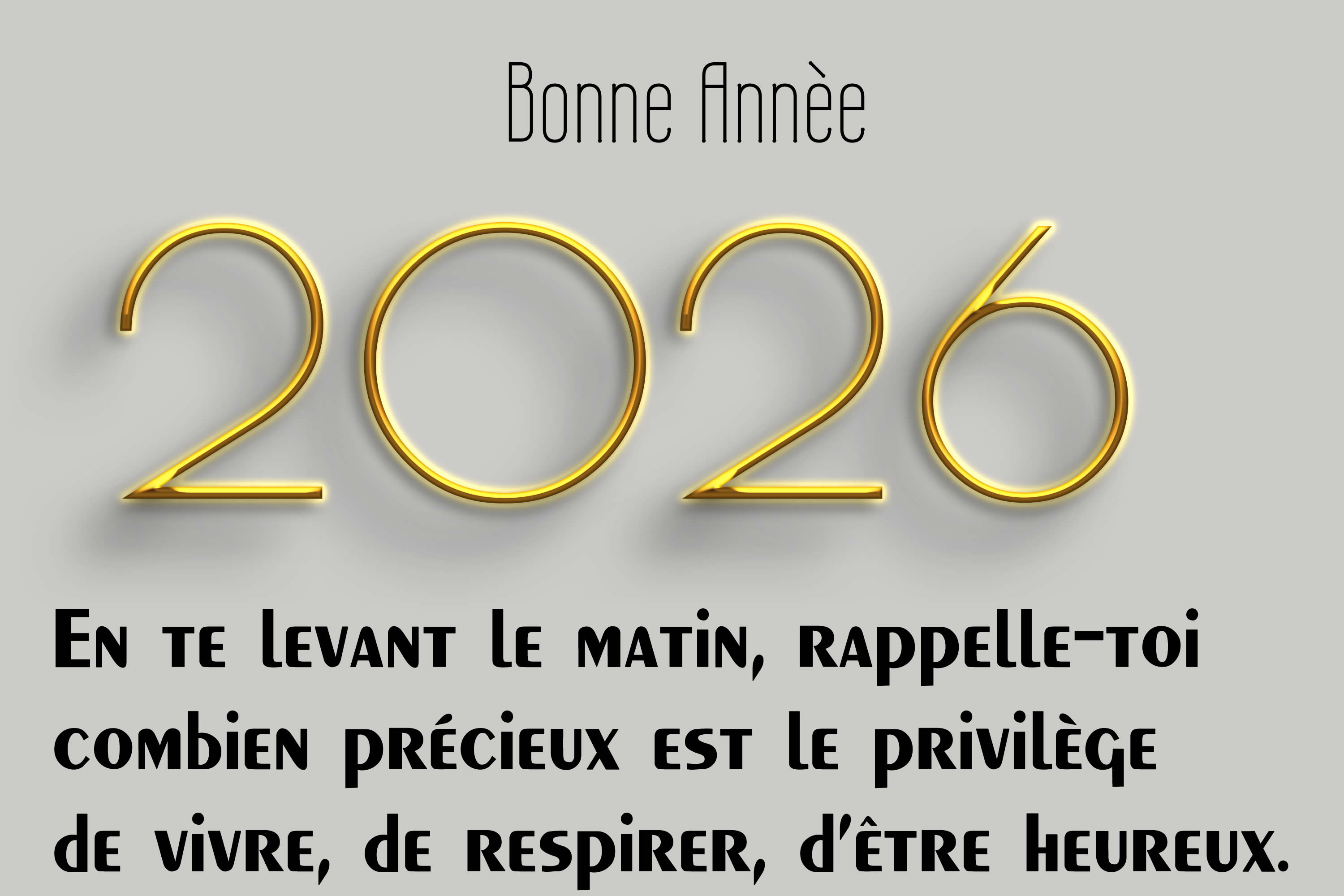 Meilleurs Voeux 2026 avec une plante orange