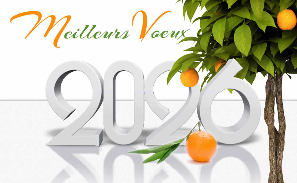 Meilleurs Voeux 2026 avec une plante orange
