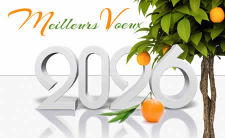 Image meilleurs voeux 2026 avec une plante orange