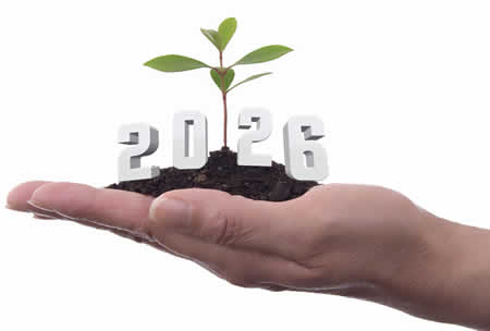 Image 2026 avec une main tenant une plante