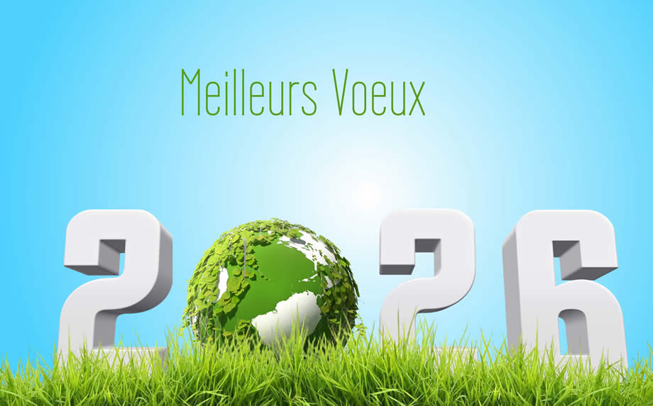 Meilleurs Voeux 2027 vert et orange
