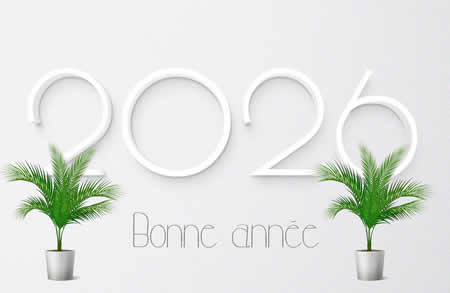 image avec texte bonne année 2027 avec deux plantes en pot